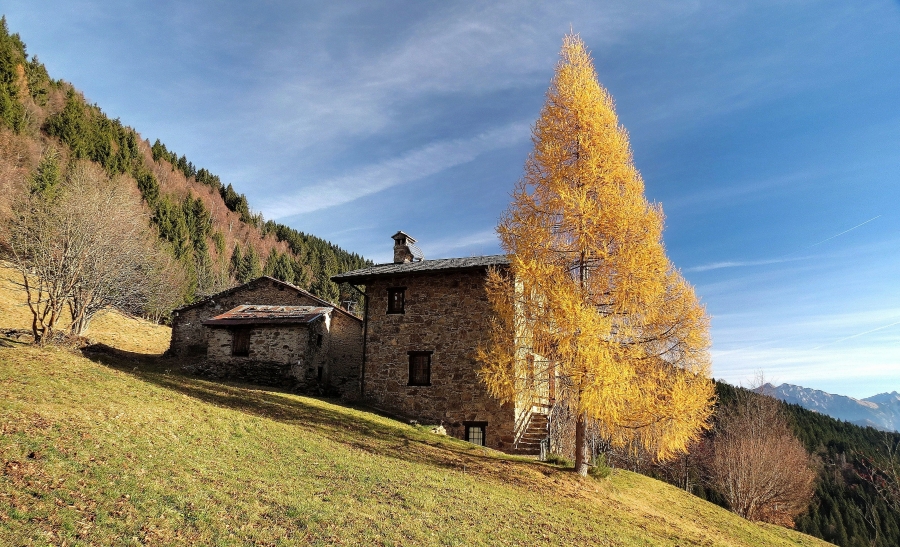 Immagine