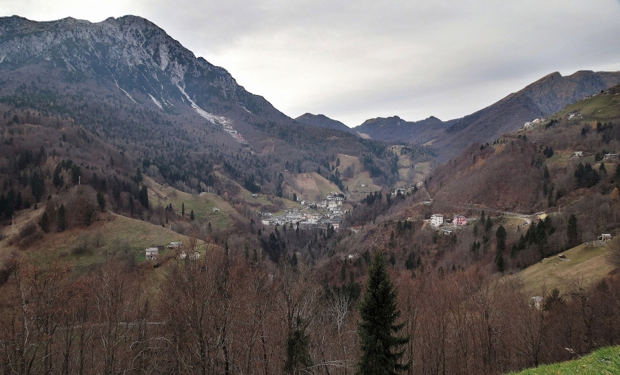 Immagine