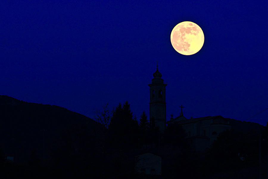 Immagine