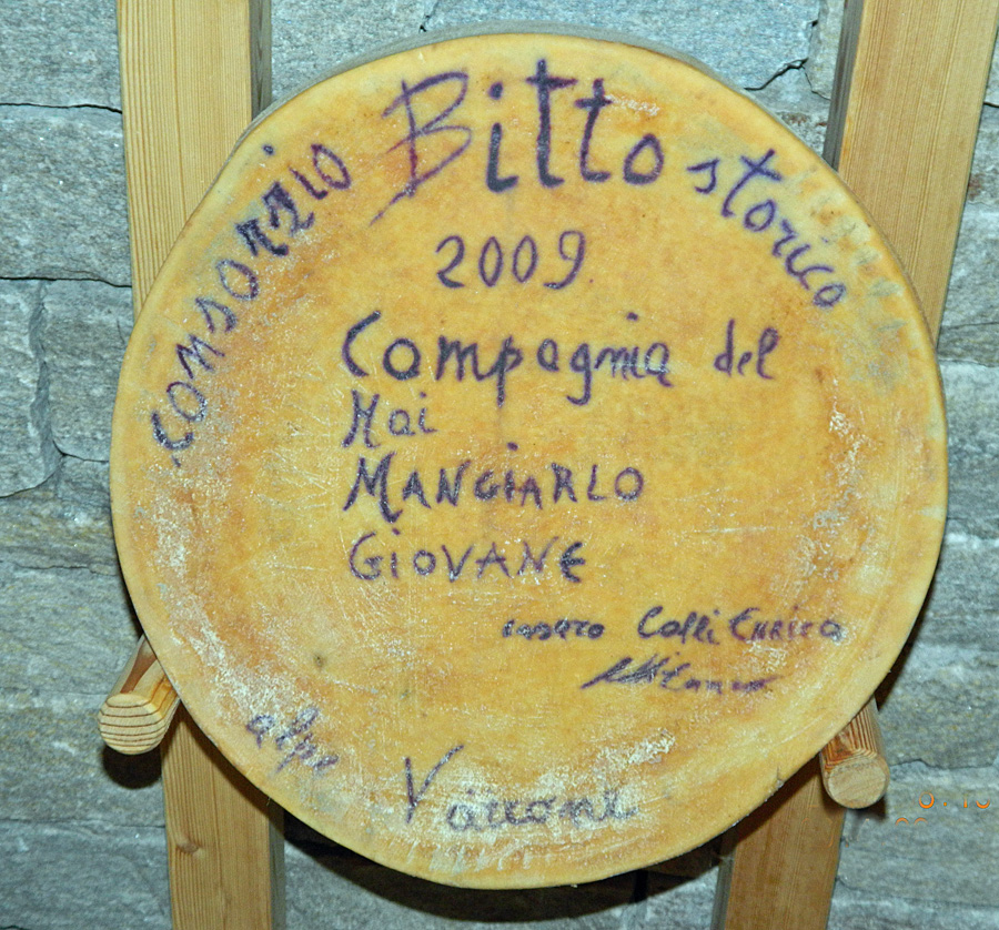 Immagine
