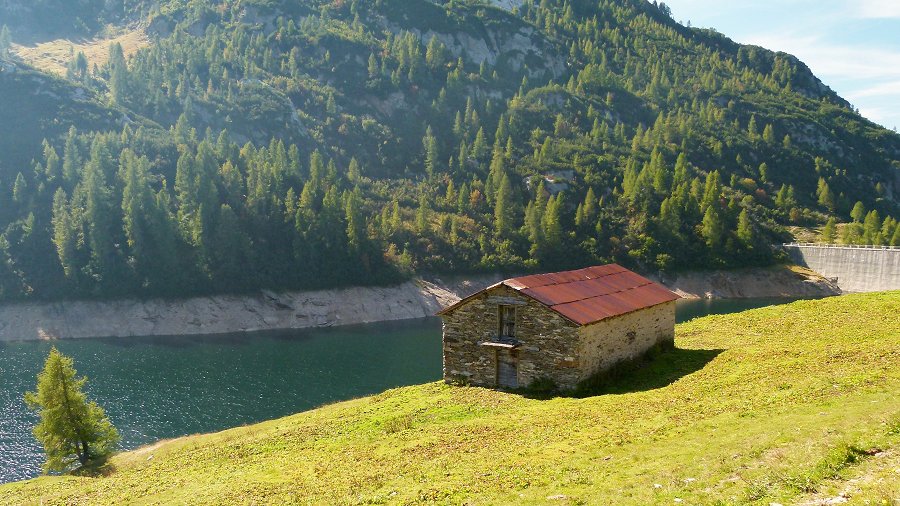 Immagine