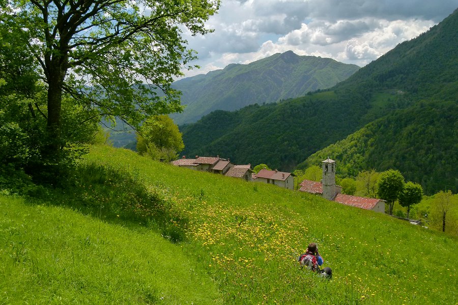 Immagine