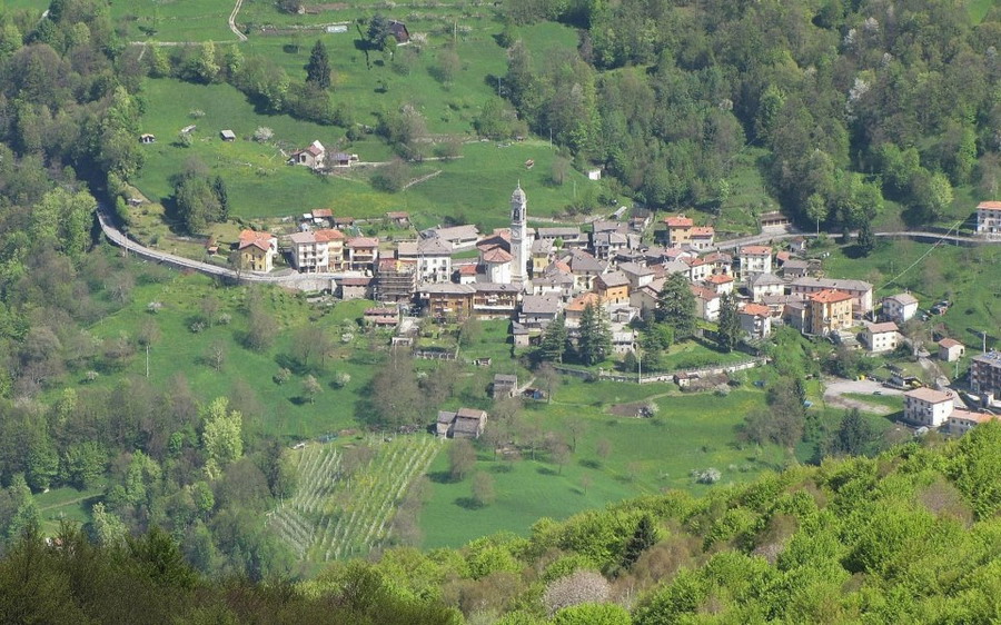 Immagine