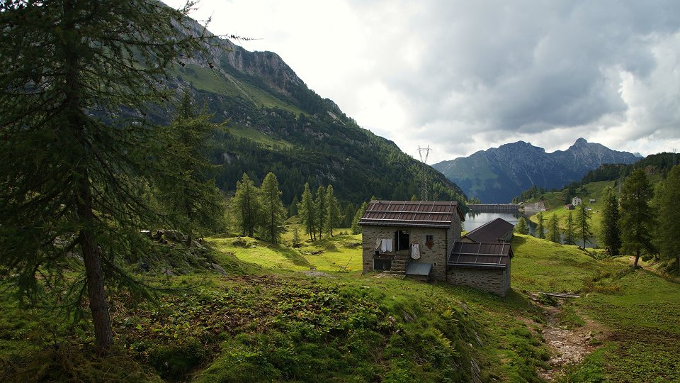 Immagine