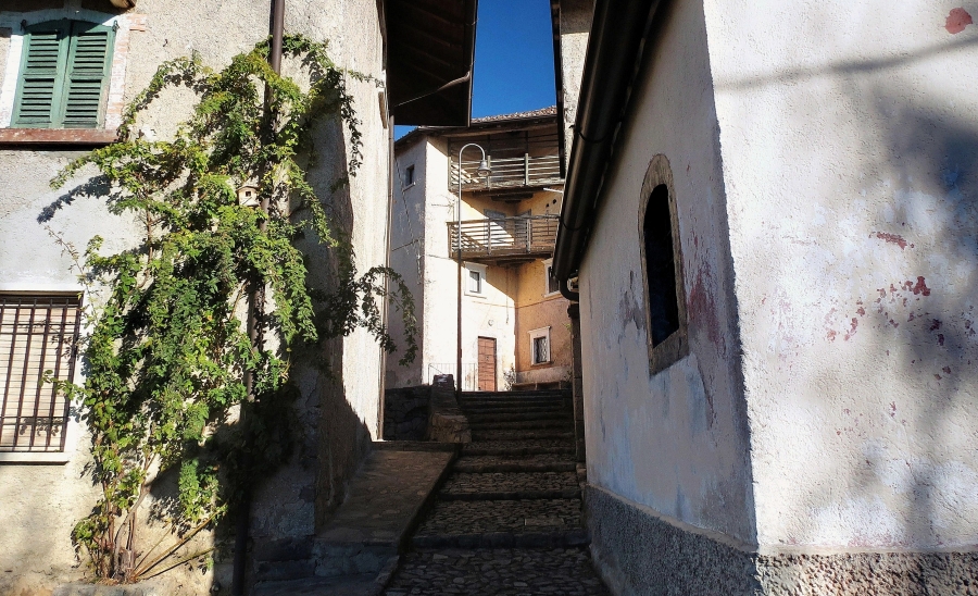 Immagine