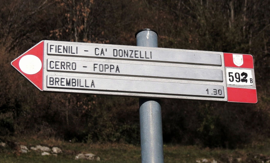 Immagine