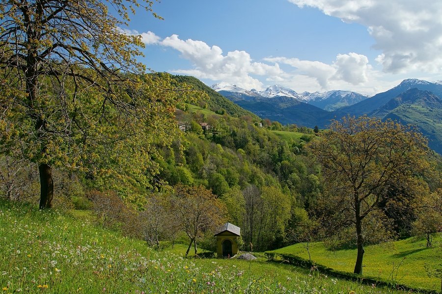 Immagine