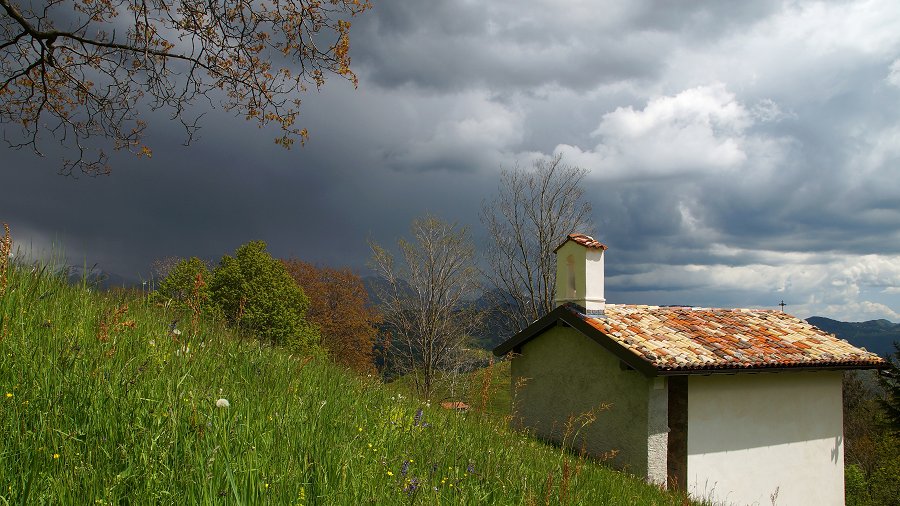 Immagine