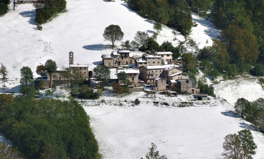 Immagine