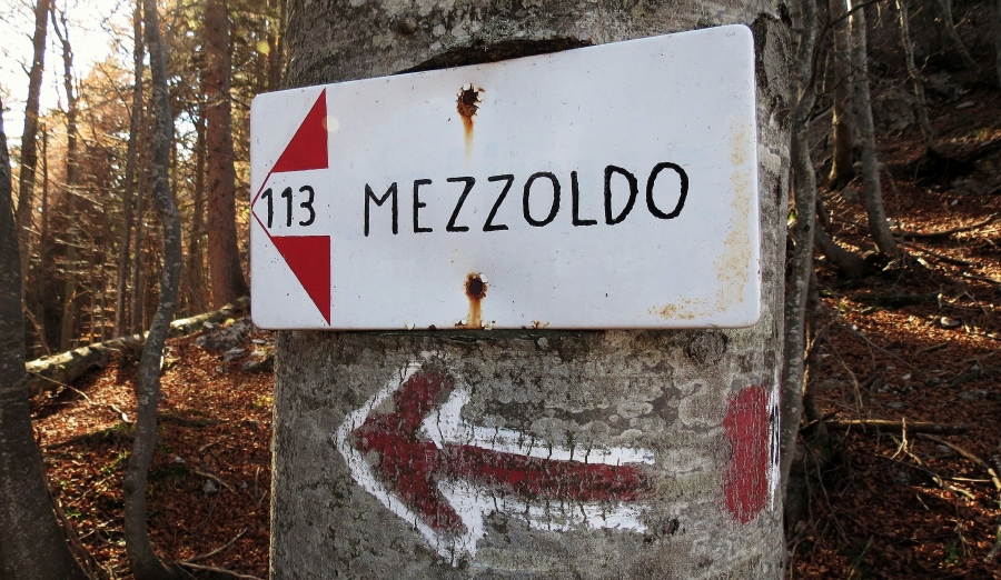 Immagine