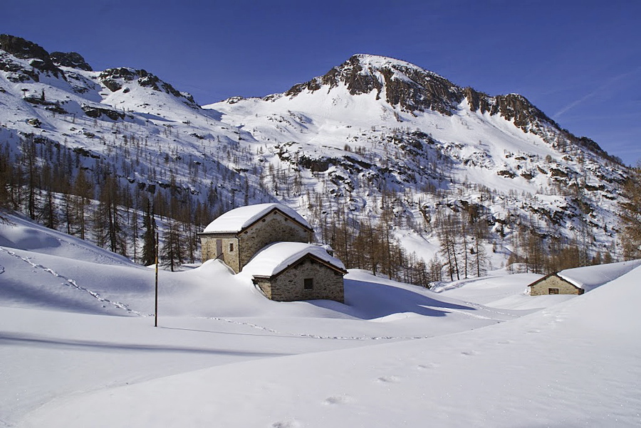 Immagine