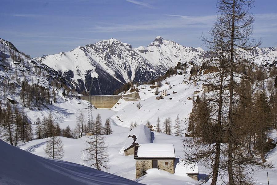 Immagine