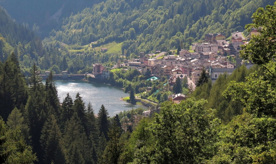 Immagine