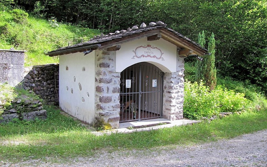 Immagine