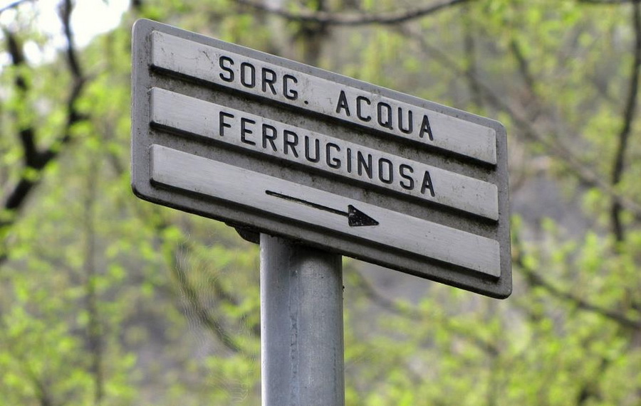 Immagine