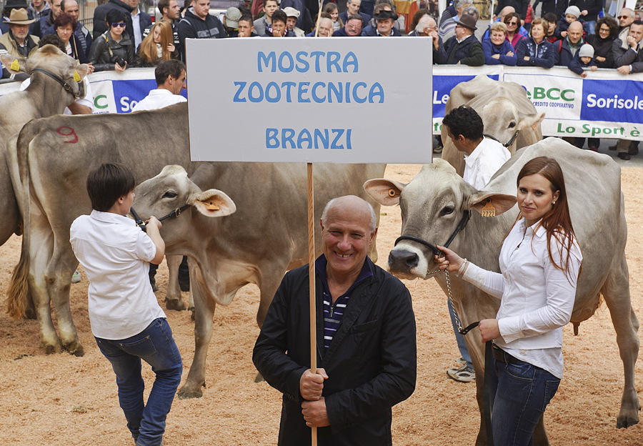 Immagine