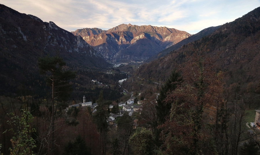 Immagine