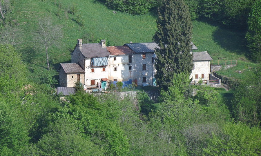 Immagine