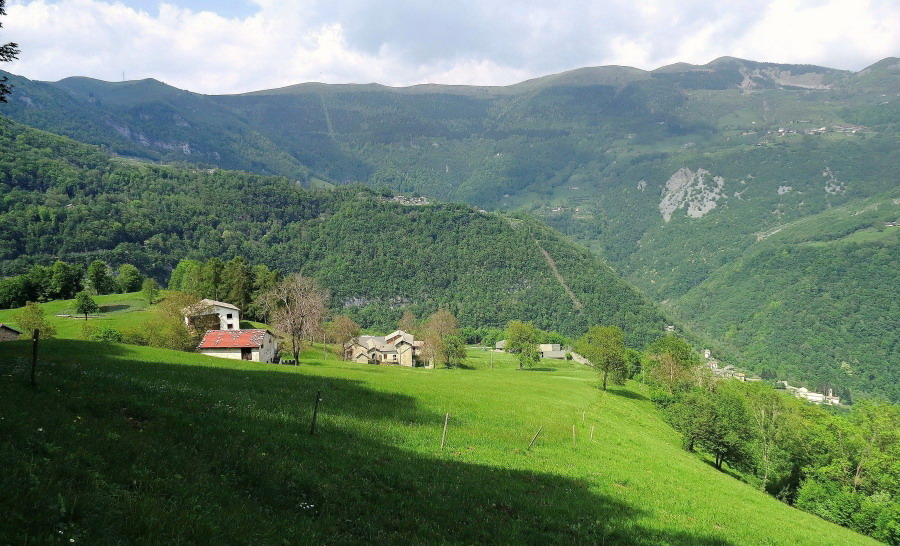 Immagine