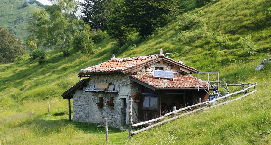 Immagine