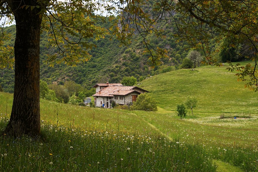 Immagine