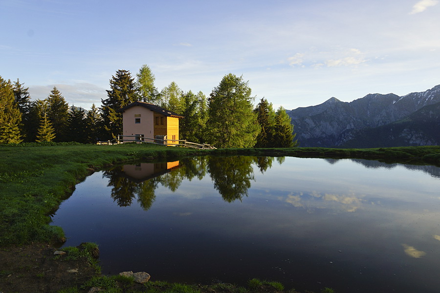 Immagine