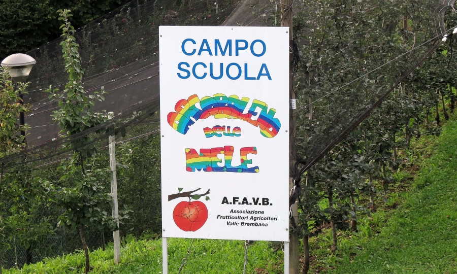Immagine