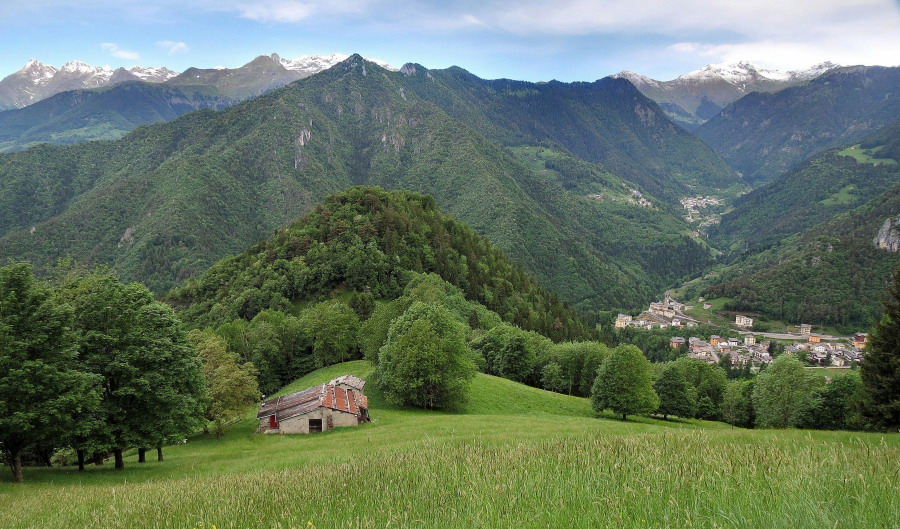 Immagine