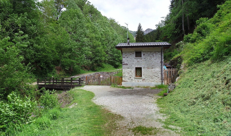 Immagine