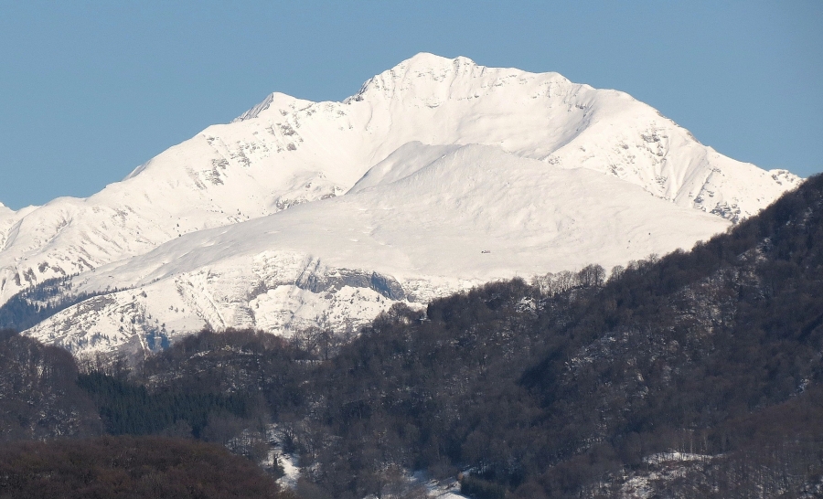 Immagine