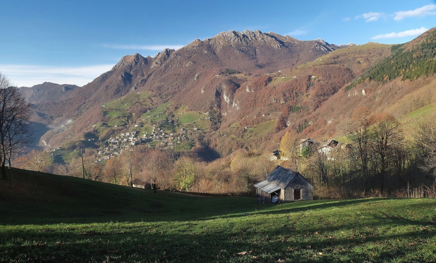 Immagine