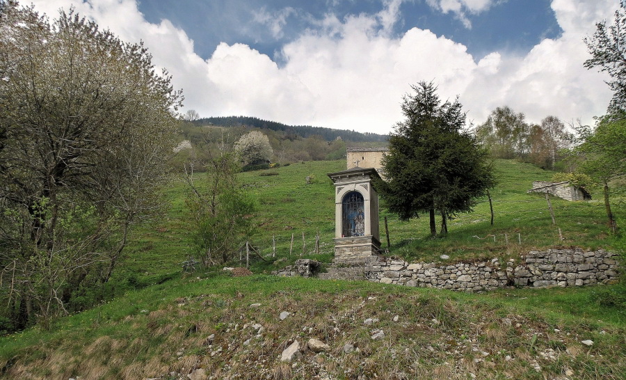 Immagine