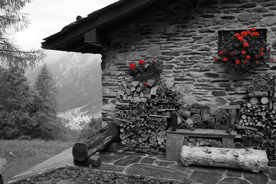Immagine