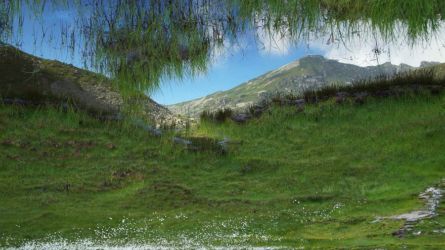 Immagine