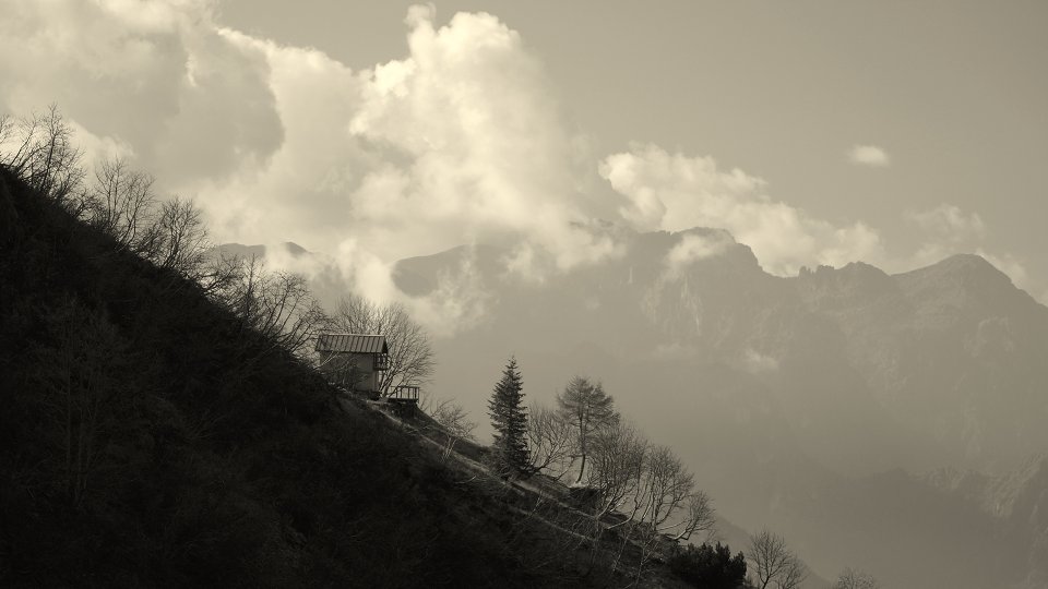 Immagine
