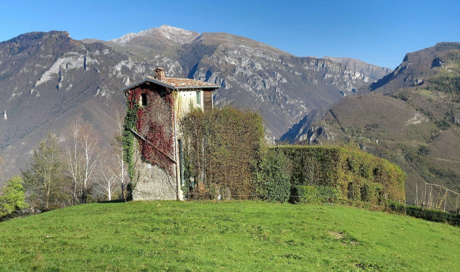 Immagine