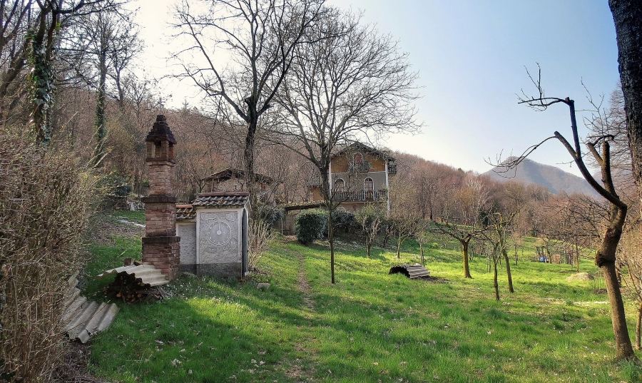 Immagine