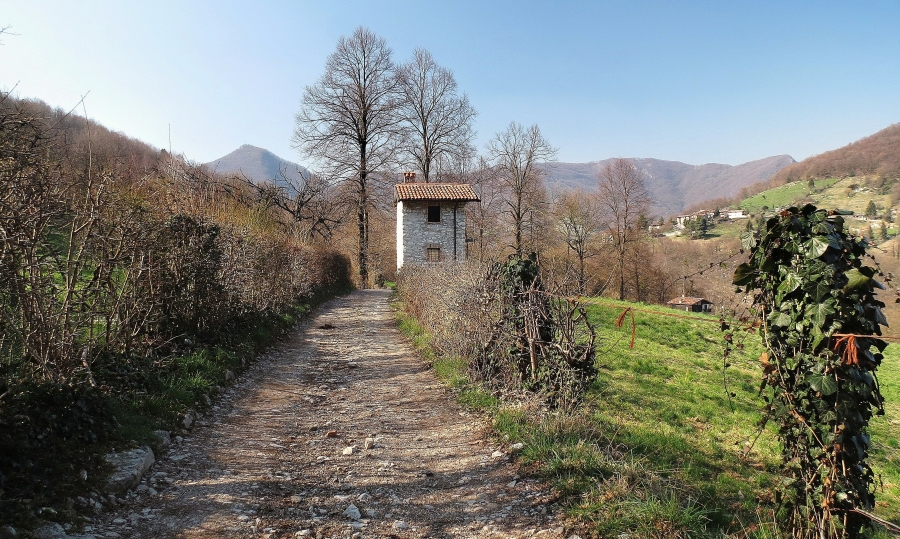 Immagine