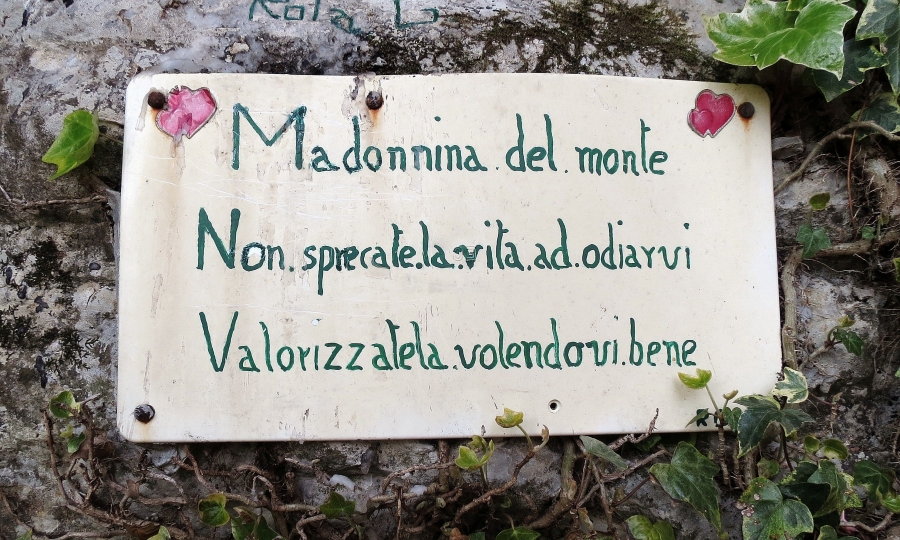 Immagine
