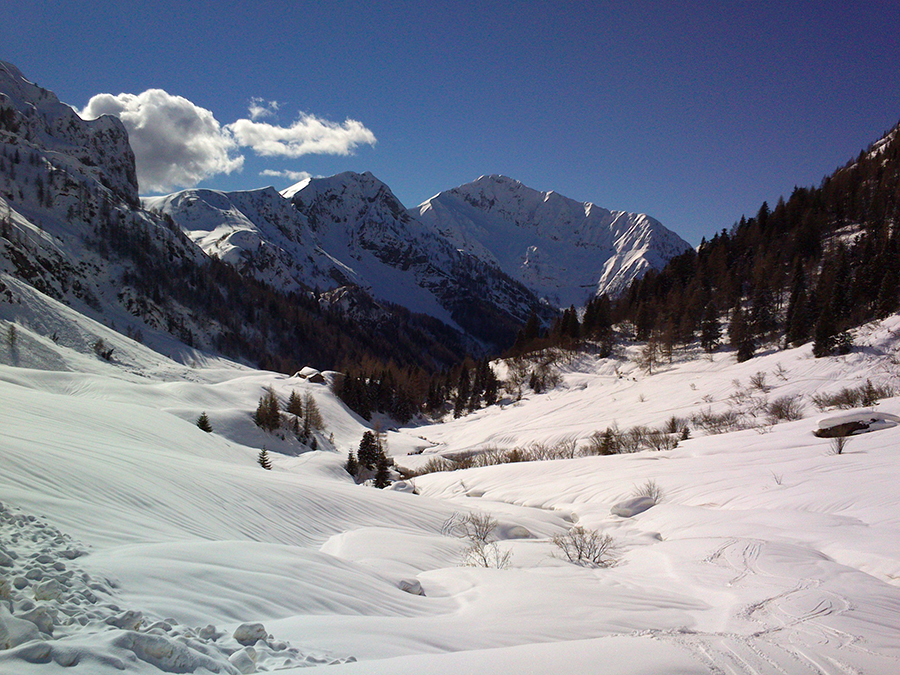 Immagine