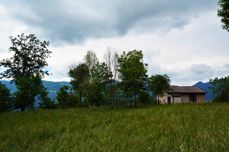 Immagine