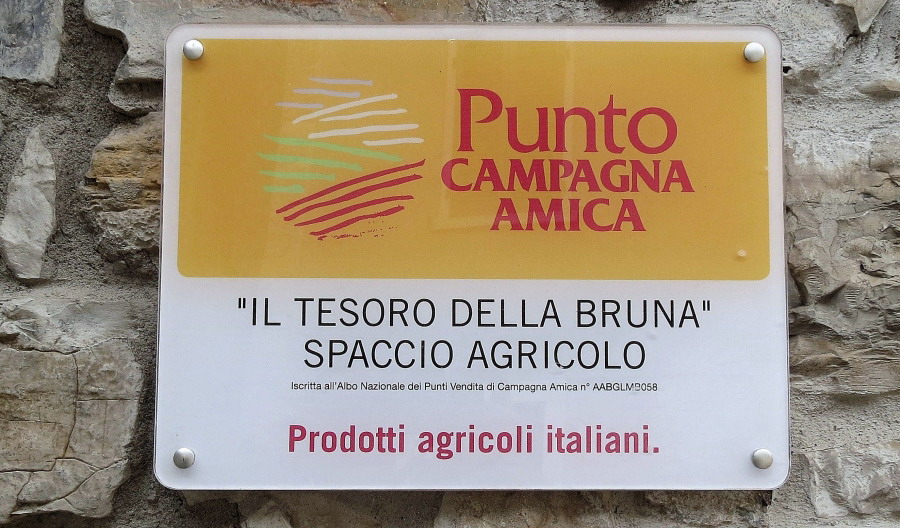 Immagine