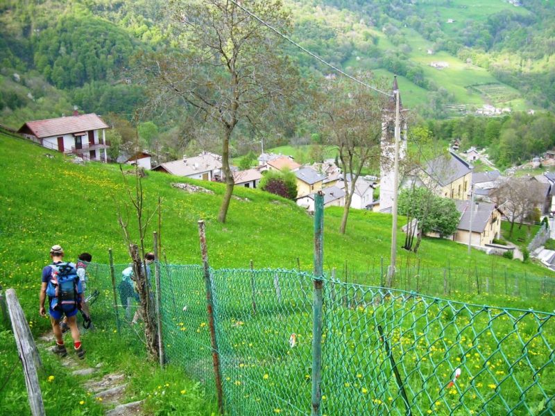 Immagine