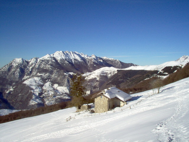 Immagine