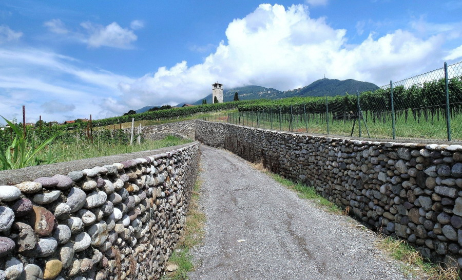 Immagine