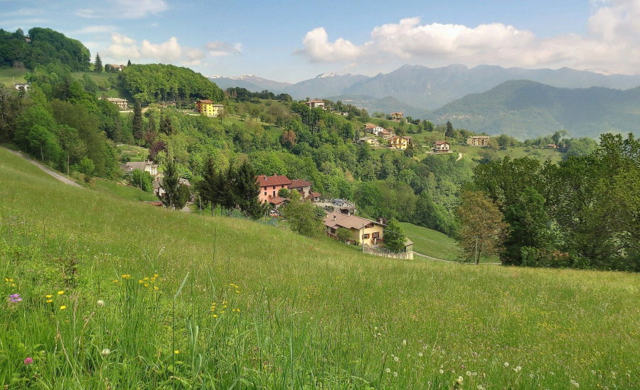 Immagine
