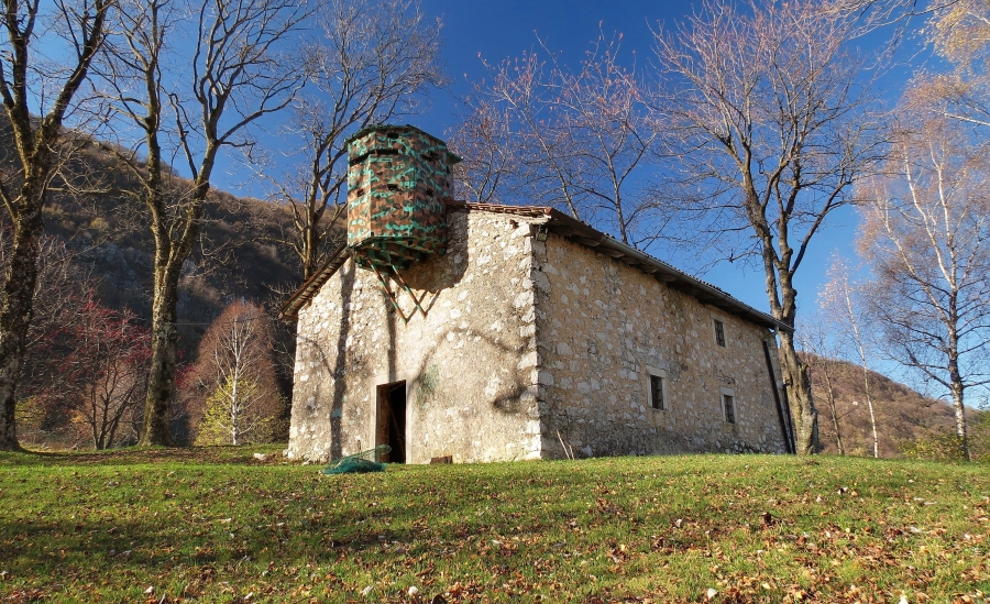 Immagine