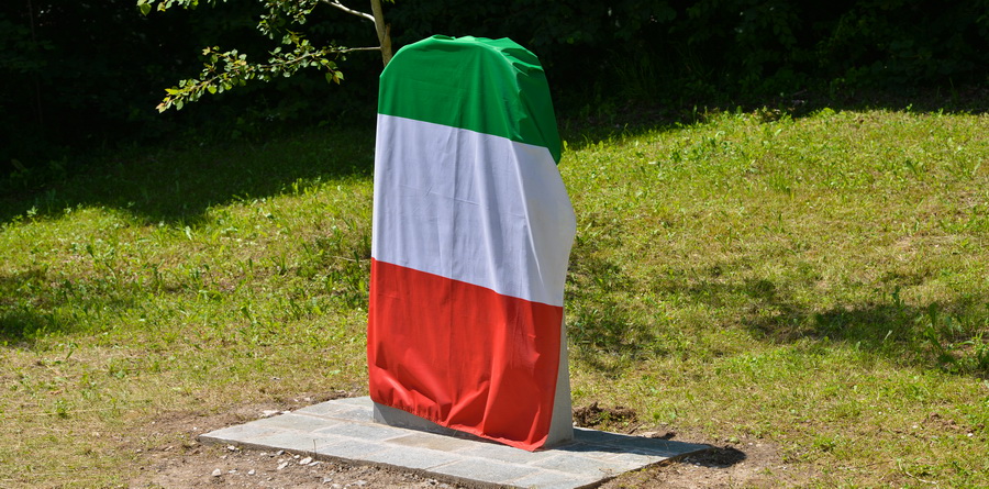 Immagine