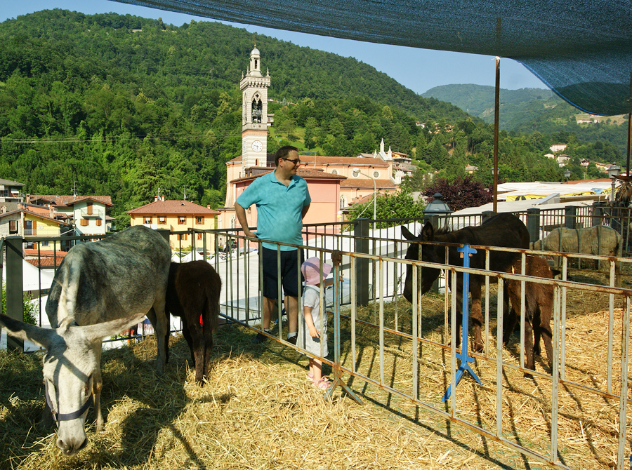 Immagine