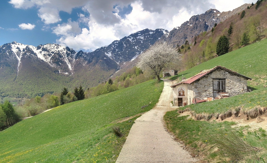 Immagine